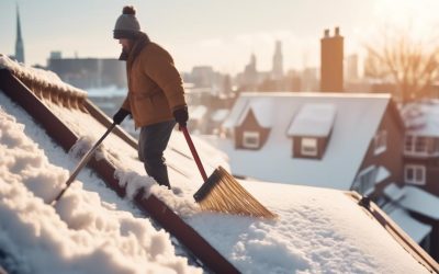 9 Best Roof Snow Removal Hacks