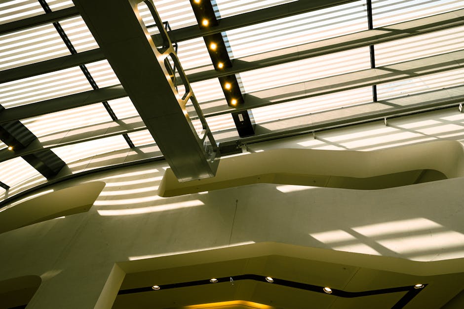 pexels-photo-31735042