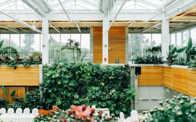 Essential Maintenance Tips for Flat Roofing in The Elms: How to Prevent Common Issues