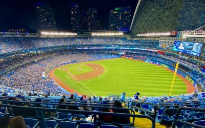 Common Roofing Issues in Yonge-Bay Corridor: How to Identify and Address Them Early