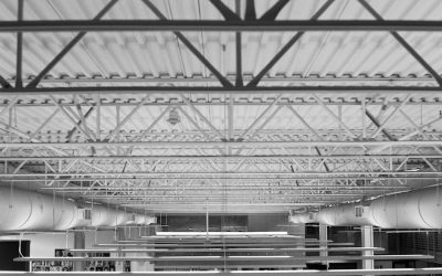 Essential Roof Maintenance Tips for Homeowners in Newtonbrook West